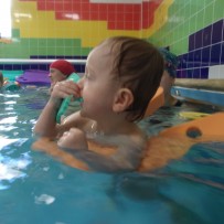 plavání - úterý dopoledne