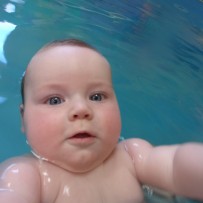 plavání - úterý dopoledne