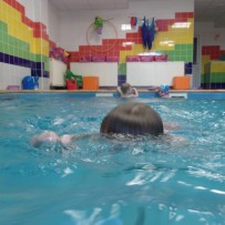 plavání - úterý odpoledne